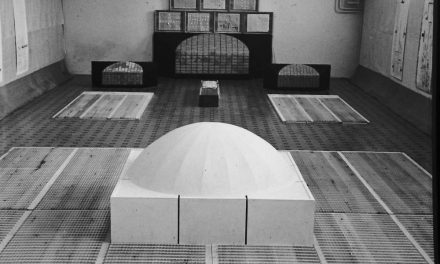 Lucrare de Șerban Gabrea