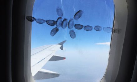 Mircea Cantor „Am I Really Free?” @ STUK Leuven, Belgium