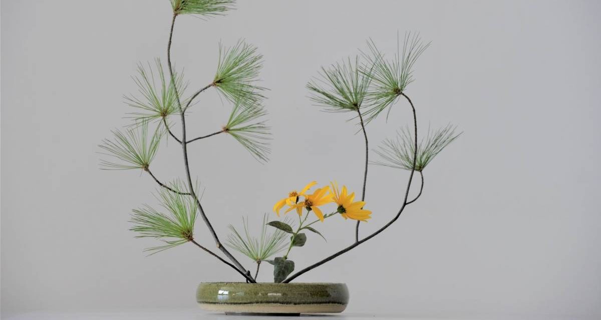 #ikebana