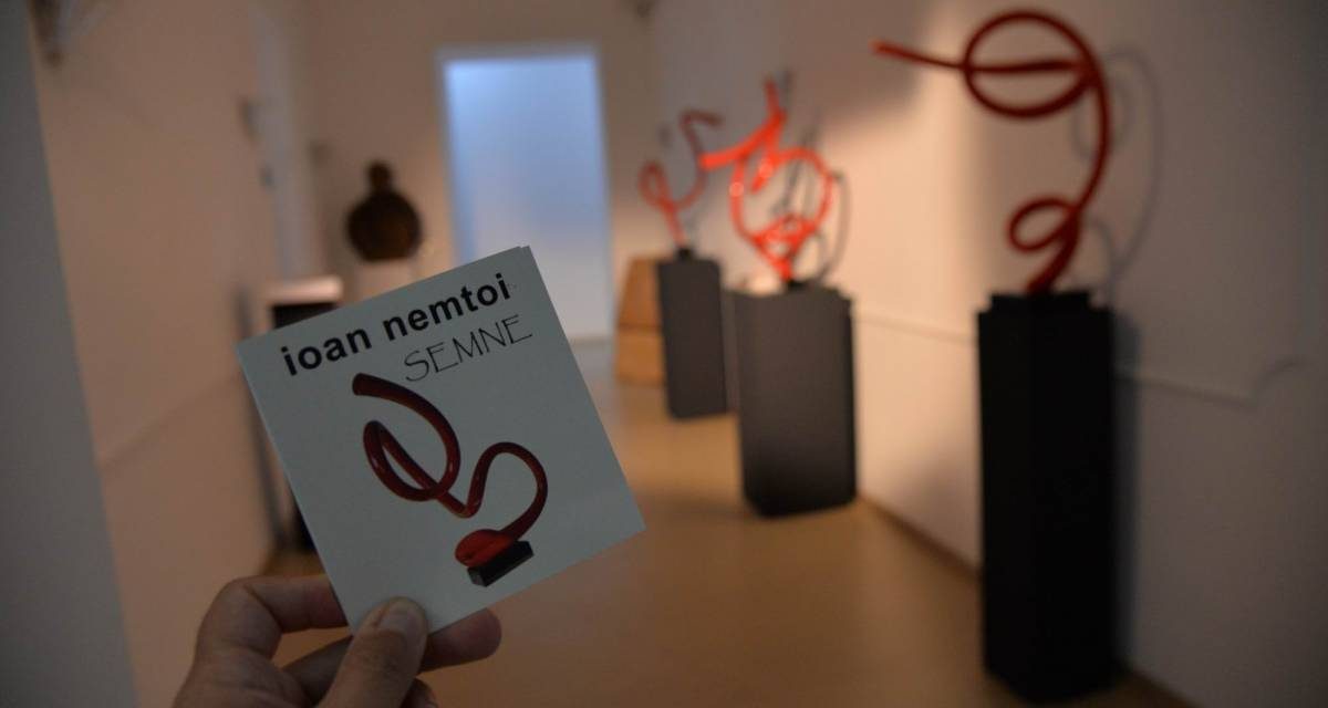 Ioan Nemtoi – SEMNE @ MNLR