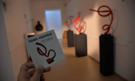 Ioan Nemtoi – SEMNE @ MNLR