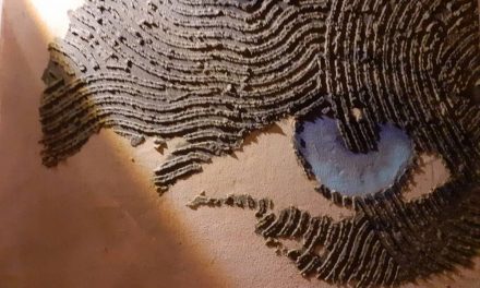 Expoziție Aurel Tar „GleTierra” @ Studio Abraco