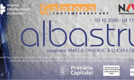 Galateea Contemporary Art la NAG