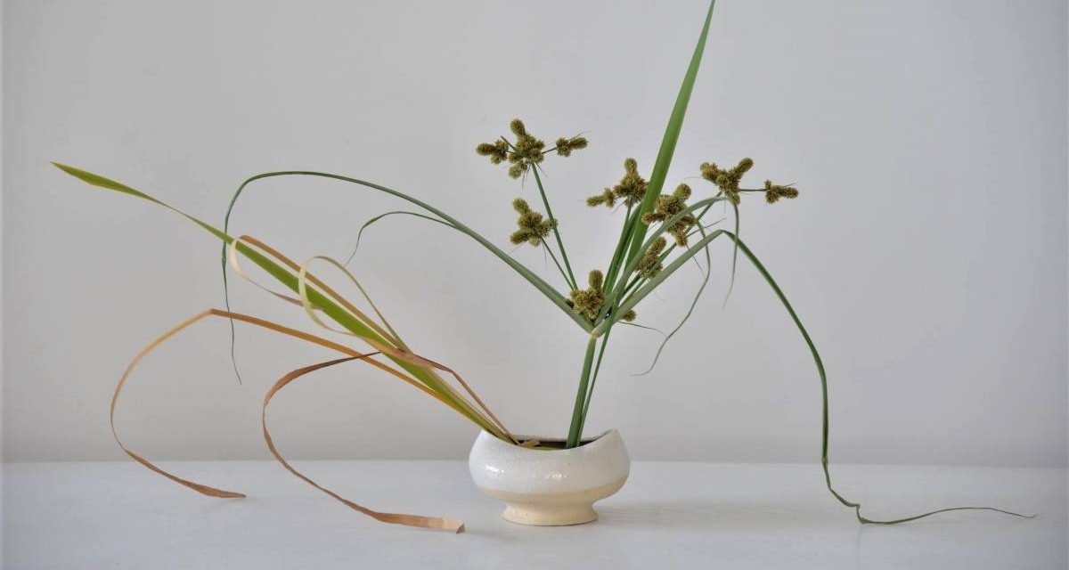 #ikebana