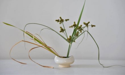 #ikebana