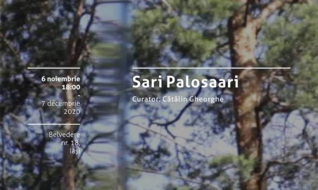Spații în aparență: Sari Palosaari la Borderline Art Space, Iași