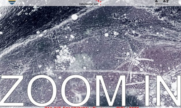 ZOOM IN & SI MUOVE – Expoziții 3D online