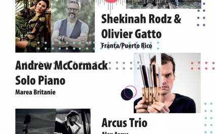 Transilvania Jazz Festival 2020 – online (13-14 noiembrie)