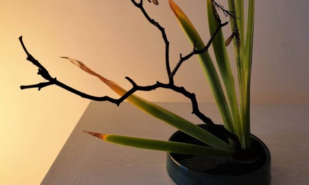 #ikebana