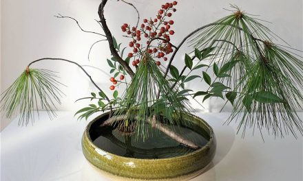 #ikebana