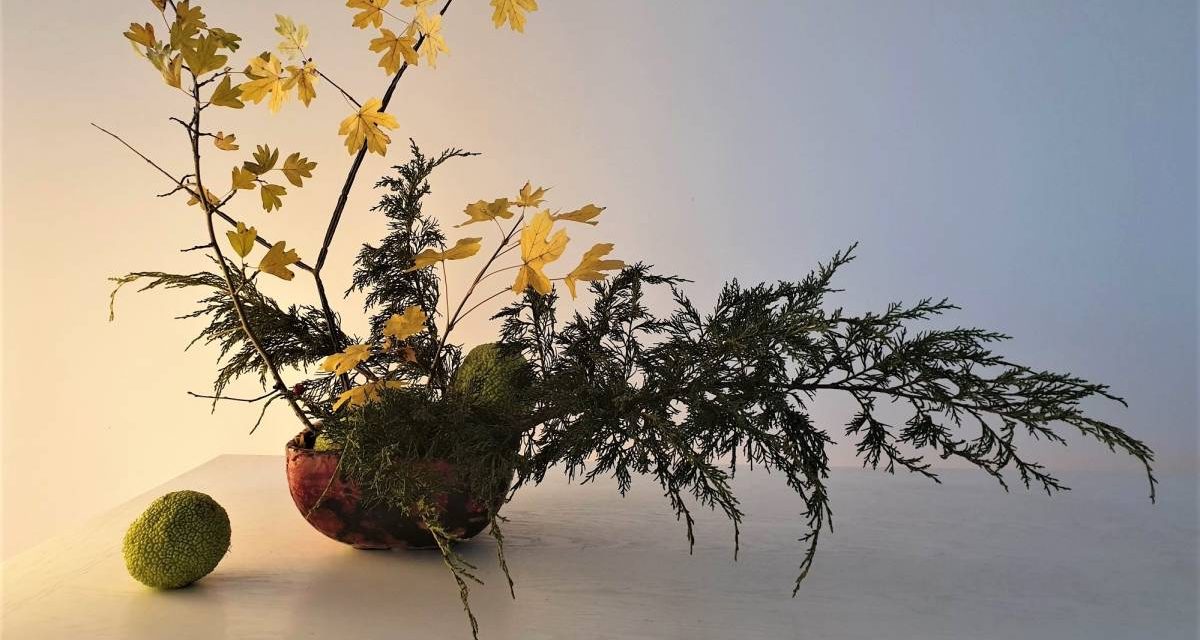 #ikebana