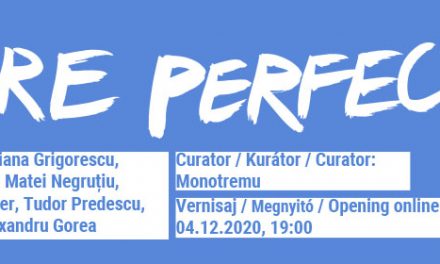 Future Perfect #2 / Viitor Anterior #2 @ Casa Tranzit, Cluj-Napoca