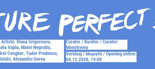 Future Perfect #2 / Viitor Anterior #2 @ Casa Tranzit, Cluj-Napoca