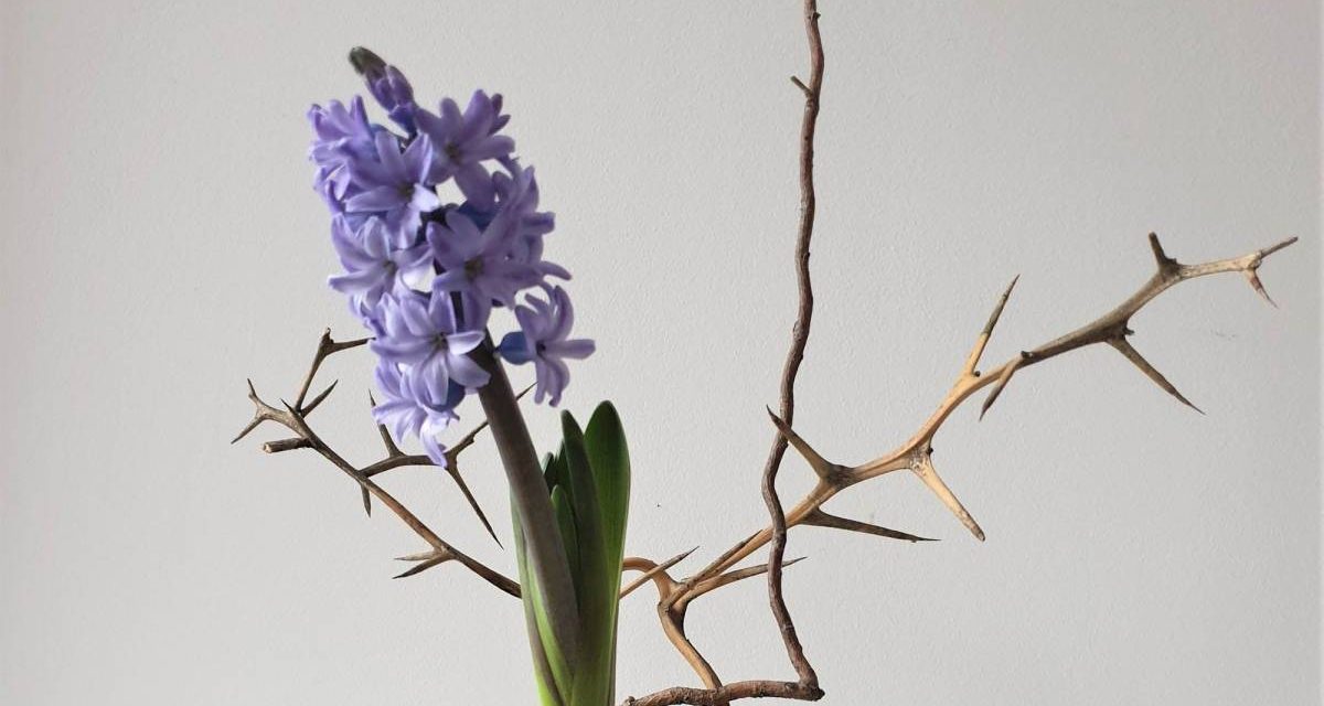 #ikebana