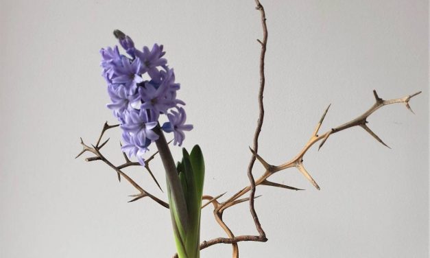 #ikebana
