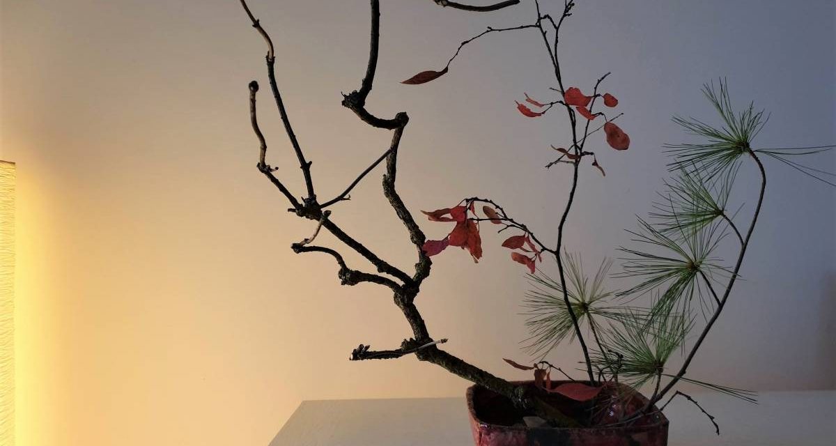 #ikebana