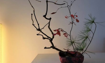 #ikebana
