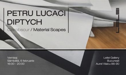 PETRU LUCACI: DIPTYCH – Material Scapes @ Leilei Gallery, București