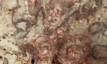 Chioma Ebinama: noroi & fluturi @ Galeria Catinca Tabacaru