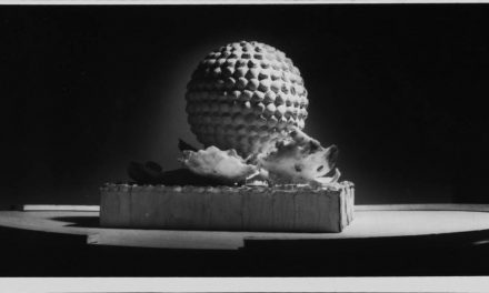 Monumentul eliberării poporului român, Proiect de Corneliu Șerban Popa