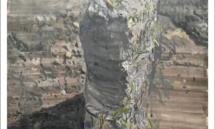 Expoziție Dacian Andoni „PERENITATE FRAGILĂ” (pictură, desen) @ Muzeul de Arta Cluj-Napoca