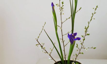 ikebana