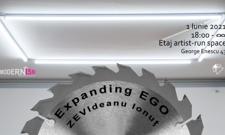 ExpandingEGO // ZEVIdeanu Ionut @ E T A J artist-run space, București