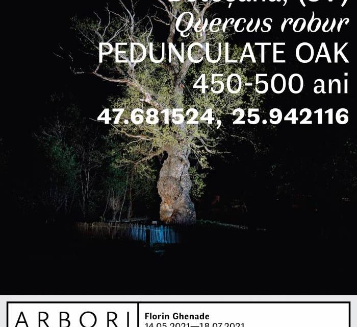 Expozitia de Fotografie Florin Ghenade „Arbori Bătrâni. Să fie întuneric, da’ să fie lumină!” de la Palatul Culturii Iași