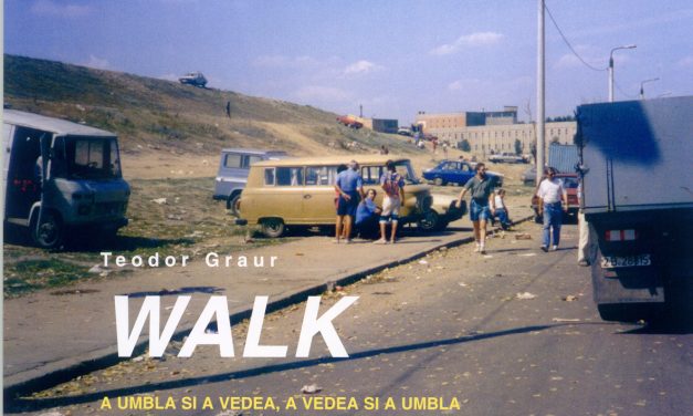 Teodor Graur „WALK – A umbla şi a vedea, a vedea şi a umbla” @ Galeria Nouă, bUCUREȘTI