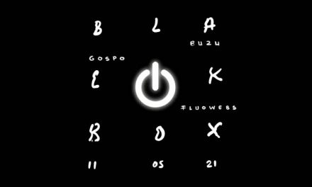 Finisaj „Black Box”, la Galeria Senso, București
