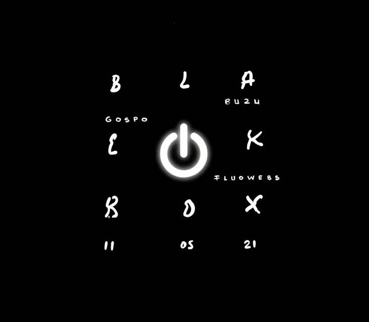 Finisaj „Black Box”, la Galeria Senso, București