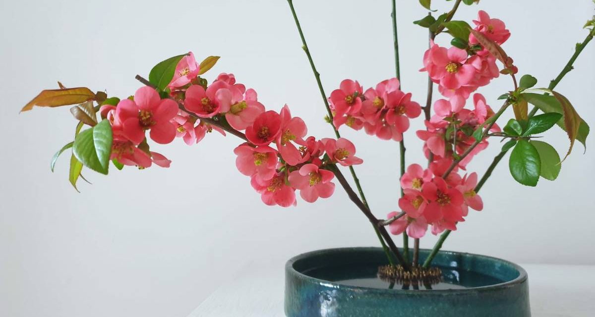 #ikebana