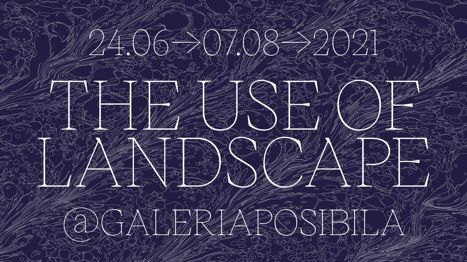 The Use of Landscape @ Galeria Posibilă, București