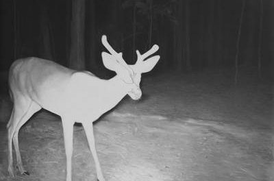 “Strategies for Concealing” at C-SPACE Beijing, curator: Maria Rus Bojan