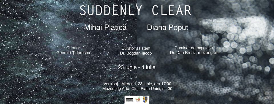 Diana Popuț / Mihai Plătică „Suddenly Clear” @ Muzeul de Artă Cluj-Napoca