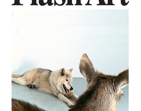 Flash Art International – Focus Romania