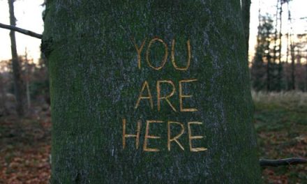 GALERIA NOUA HOME GALLERY Vlad Nanca