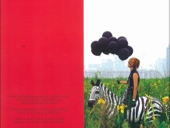 Mircea Cantor, Dan Perjovschi, Lia Perjovschi in “Brave New Worlds” at Walker Art Center Minneapolis US