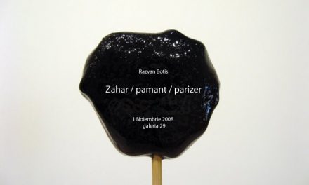 Razvan Botiș „Zahar / pamant / parizer” @ galeria 29, București
