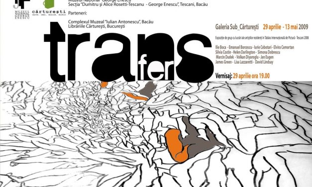 TRANSFER, expozitie de pictura cu lucrări din cadrul Taberei Internaţionale de Pictură Experimentală – Tescani 2008 Galeria Sub_Carturesti