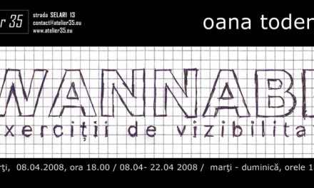 Oana Toderica „Wannabe. Exercitii de vizibilitate” @ Atelier 35, Bucuresti