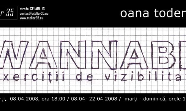 Oana Toderica „Wannabe. Exercitii de vizibilitate” @ Atelier 35, Bucuresti