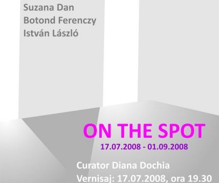 expozitia “On the spot” semnata Suzana Dan, Botond Ferenczy si Istvan Laszlo @ Anaid Art Gallery