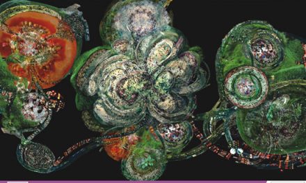 COSMOPOLITICS @ GALERIA NOUA, Bucuresti