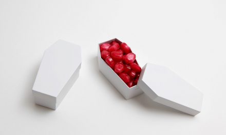 Young Romanian Art  #7: Michael Baers, Benedek Levente, Dragos Burlacu, Michele Bressan, Alexandra Croitoru / Mircea Nicolae / Stefan Tiron „cynicism and fear”