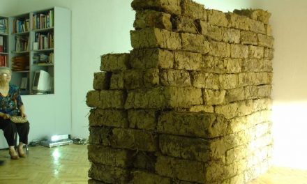 Expoziția FLUCHTPUNKTE (Puncte de fuga) a artistului Dan Acostioaei @ Galeria Vector din Iasi