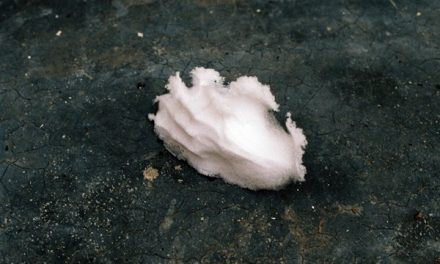 Young Romanian Art #2 „small gestures”’: Razvan Botis, Cezar Lazarescu, Daniel Knorr, Mihai Iepure-Gorski