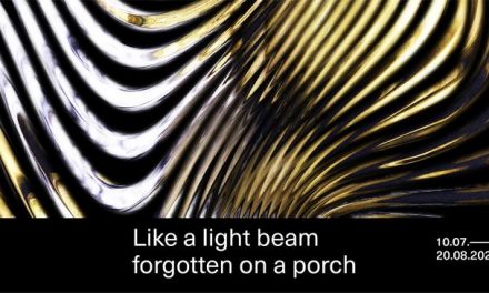 Andrei Sclifos, Leonardo Silaghi „Like a Light Beam Forgotten on a Porch” @ IOMO Gallery, București