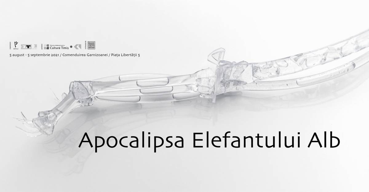 Apocalipsa elefantului alb – expoziție de artă contemporană, la Timișoara, cu 40 de artiști din România și din străinătate