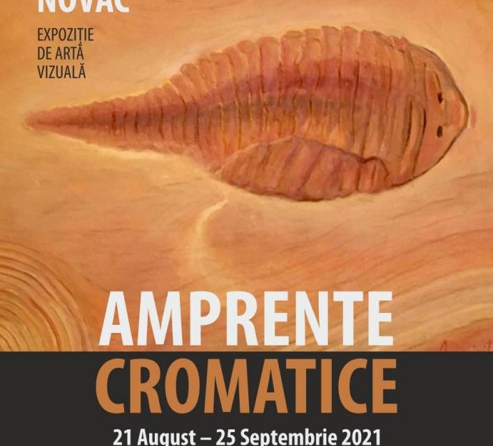 Expoziție Luminița Cojocaru Novac “Amprente cromatice” @ Iulius Mall, Iași